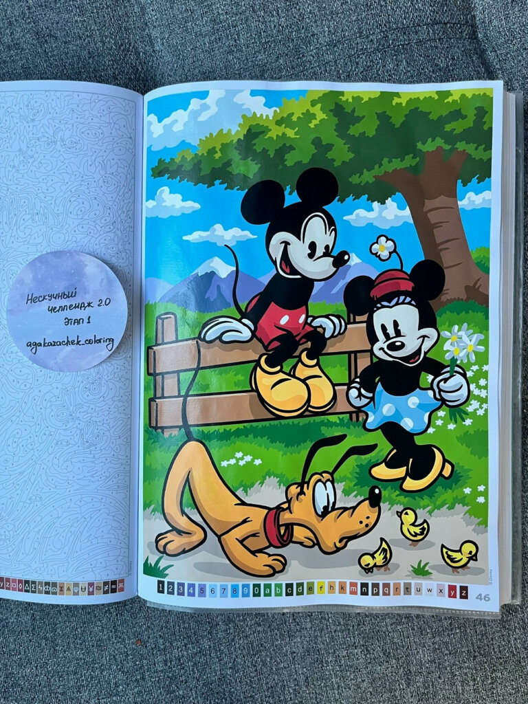Работа — agakazachek_coloring